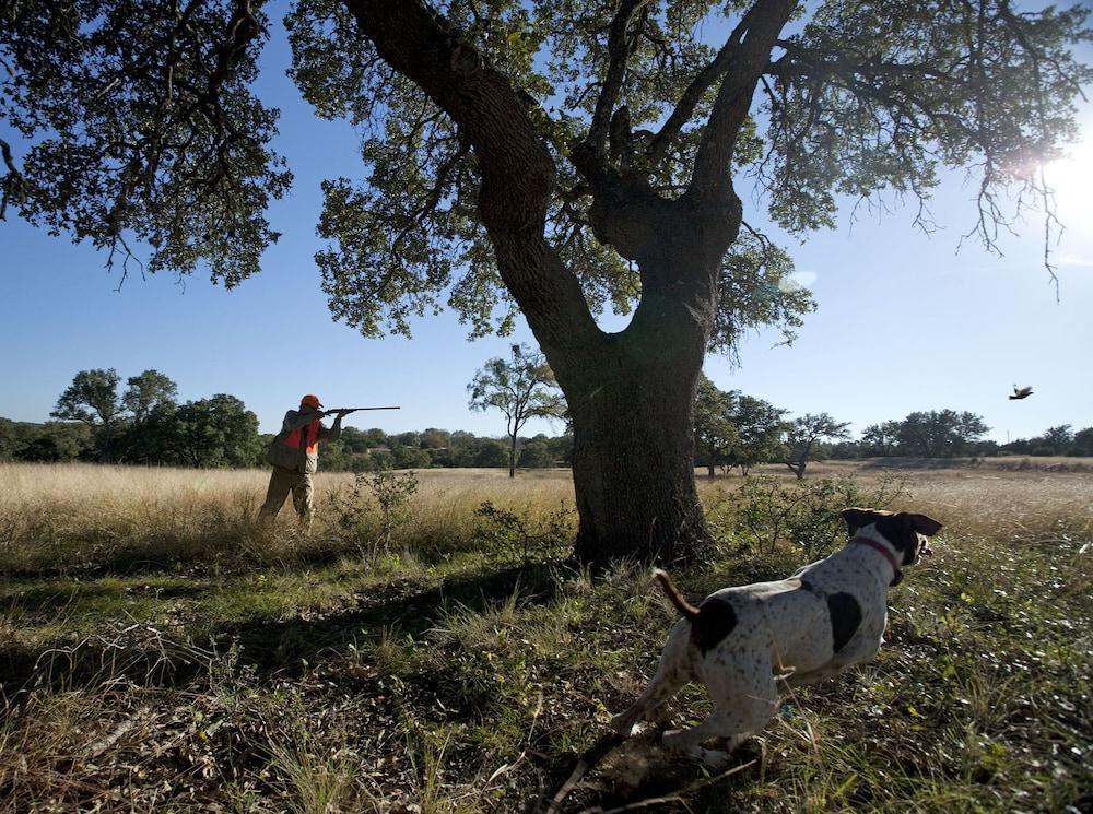 فندق Joshua Creek Ranch بويرن المظهر الخارجي الصورة